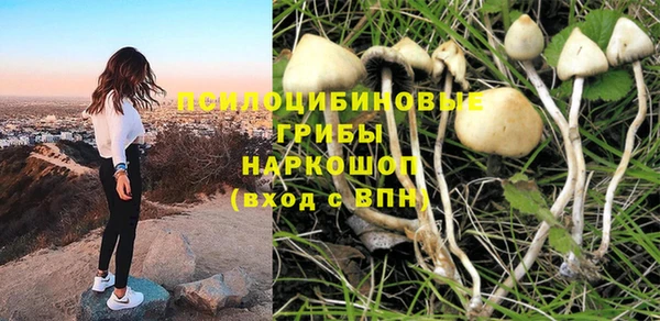 apvp Елизово