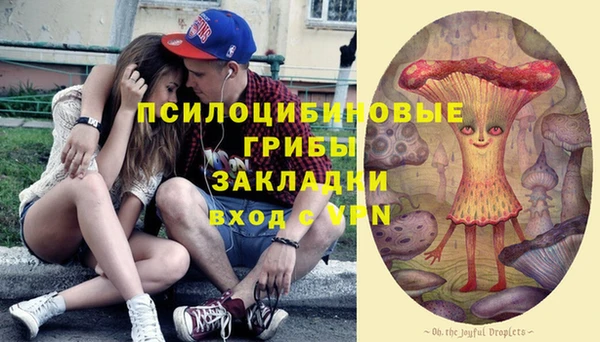 mdma Ельня