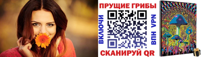Галлюциногенные грибы GOLDEN TEACHER  Купить закладки  Мценск 