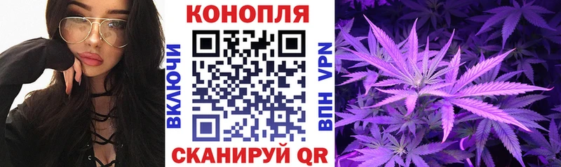 Купить закладки  Мценск  Шишки марихуана THC 21% 